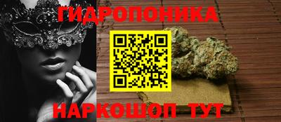 марихуана Будённовск